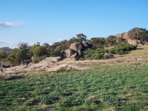 Boulders scattered on hillsides Central New South wales 1