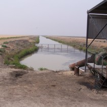 Irrigation Farming on a Vast Scale. Hay
