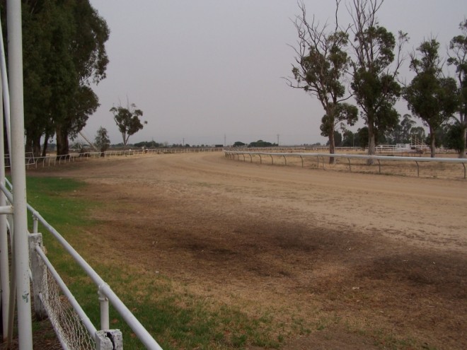 Outback Sand Horse Racetrack. Hay