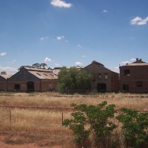 Disused Abattoir. Forbes