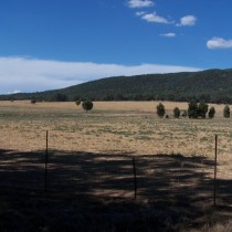 Country landscape. Eugowra