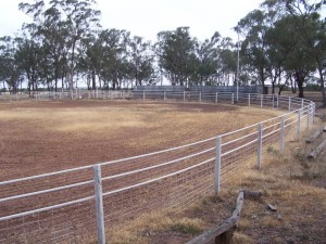 Rodeo Riding Rink. West Wyalong