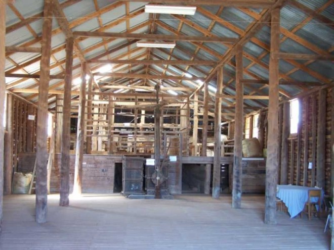 Large Timber Shearing Shed. Naradhan