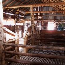Mid 19th Shearing Shed. Dubbo