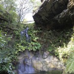 everglades grotto screen central